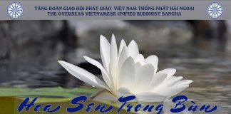 HOA SEN TRONG BÙN | HT THÍCH CHÁNH LẠC