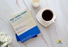 ĐẠI TẠNG KINH NHẬP MÔN- HT THÍCH VIÊN LÝ BIÊN DỊCH