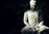 Một Cuộc Đời Không Bị Tiền Bạc Trói Buộc