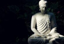 Một Cuộc Đời Không Bị Tiền Bạc Trói Buộc