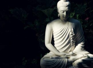 Một Cuộc Đời Không Bị Tiền Bạc Trói Buộc