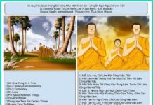 12 Quy Tắc Quan Trọng Để Sống Như Một Thiền Sư