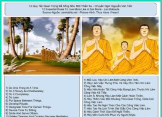 12 Quy Tắc Quan Trọng Để Sống Như Một Thiền Sư