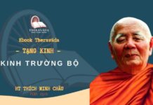 Kinh Trường Bộ (Dìgha Nikàya)