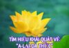 Tìm Hiểu Khái Quát Về A Lại Da Thức