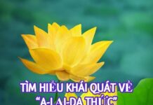 Tìm Hiểu Khái Quát Về A Lại Da Thức
