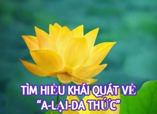 Tìm Hiểu Khái Quát Về A Lại Da Thức
