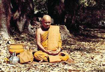 ajahn chah