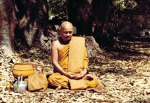 Bản thể siêu việt (song ngữ)