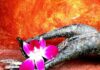 Chớ khởi tâm sợ hãi