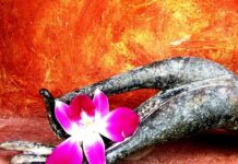 Chớ khởi tâm sợ hãi