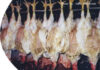 Không Làm Hại
