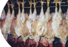 Không Làm Hại