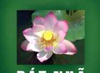 Không bờ không bến