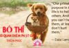 Bố Thí Theo Quan Điểm Phật Giáo – Song ngữ Vietnamese-English