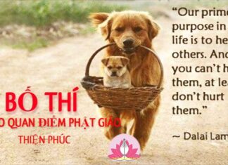 Bố Thí Theo Quan Điểm Phật Giáo – Song ngữ Vietnamese-English