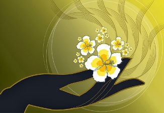bo_thi_rong_khap_2 bo_thi_rong_khap_2