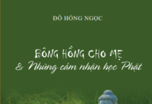 Bông Hồng Cho Mẹ & Những Cảm Nhận Học Phật
