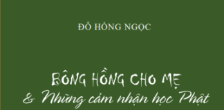 Bông Hồng Cho Mẹ & Những Cảm Nhận Học Phật