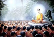 Chuyện Hai Người Vô Gia Cư
