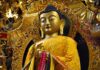 Đầu Năm Hướng Về Tam Bảo