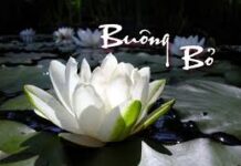 Buông bỏ