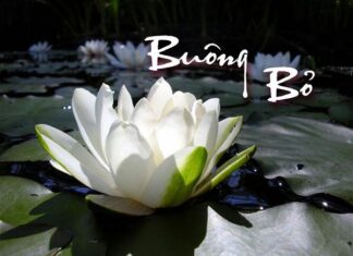 Chưa buông được chỉ vì chưa đau thấu tận tâm can