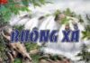 Học buông xả (song ngữ Vietnamese-English)