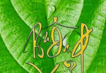 Buông xả