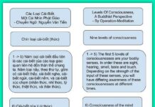 Các Loại Cái-Biết, Một Cái Nhìn Phật Giáo