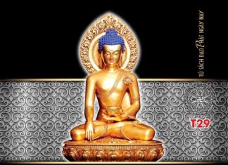 Cẩm nang thực tập chánh niệm và khuyến tu