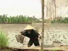 canh_kho