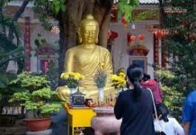 Cầu An Theo Tinh Thần Kinh Phước Đức
