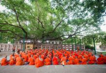 Công đức chiêm bái Phật tích
