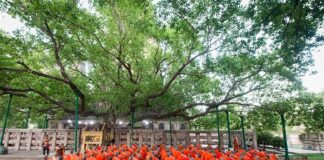 Công đức chiêm bái Phật tích