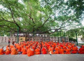 Công đức chiêm bái Phật tích