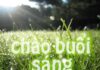 Chào Buổi Sáng Tinh Mơ