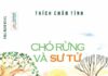 Chó rừng và sư tử