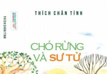 Chó rừng và sư tử