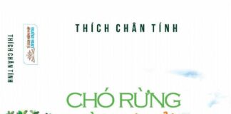 Chó rừng và sư tử