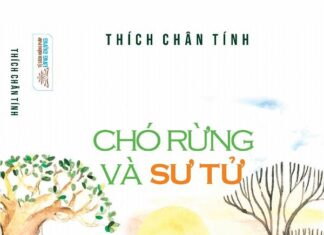Chó rừng và sư tử