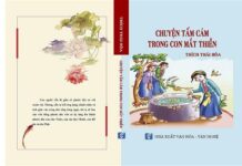 Chuyện Tấm Cám Trong Con Mắt Thiền