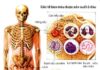 Hãy đọc các dòng chữ trong tâm thức mình (bài 2)