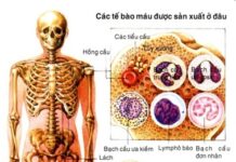 Hãy đọc các dòng chữ trong tâm thức mình (bài 2)