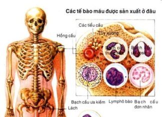 Hãy đọc các dòng chữ trong tâm thức mình (bài 2)