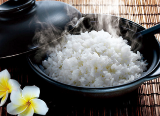 Không hoang phí một hạt gạo