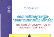 Con Đường Tu Tập Theo Tinh Thần Bồ Tát (Ebook Song Ngữ Vietnamese-English PDF)