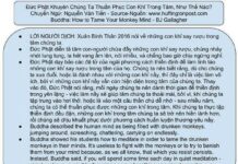 Đức Phật khuyên chúng ta thuần phục con khỉ trong tâm, như thế nào?