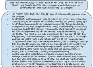 Đức Phật khuyên chúng ta thuần phục con khỉ trong tâm, như thế nào?