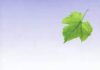 Còn Nương Tựa Thì Còn Dao Động (Sách Ebook PDF)
